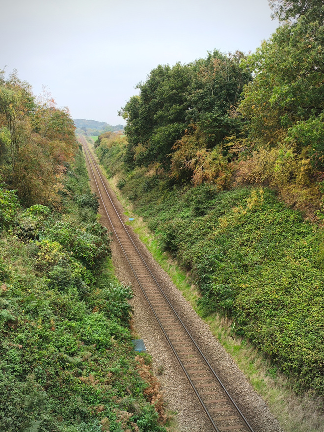 Photographie prise en hauteur sur laquelle on voit un rail unique s’étendant vers l’horizon. Autour du rail, une forte densité d’arbres.