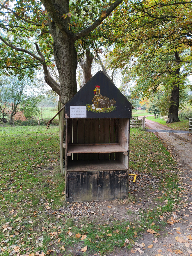 Photographie dans une forêt. Au premier plan, une armoire noire avec trois étagères, et en haut un dessin de poule. Un texte imprimé est collé, mais on ne distingue pas le texte.